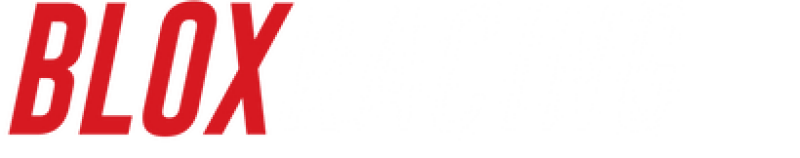 Tesla Model Y Coilover Suspension Kit - Front - BLOX Racing - Plus Series Pro Adjustable - `20-`27